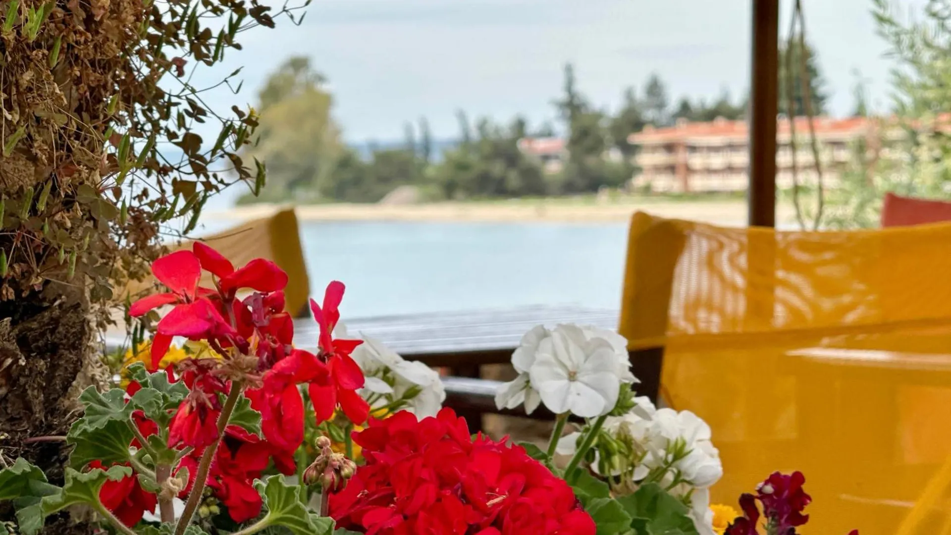 Maistrali Beach Studios Gerakini 2*,  Yunanistan