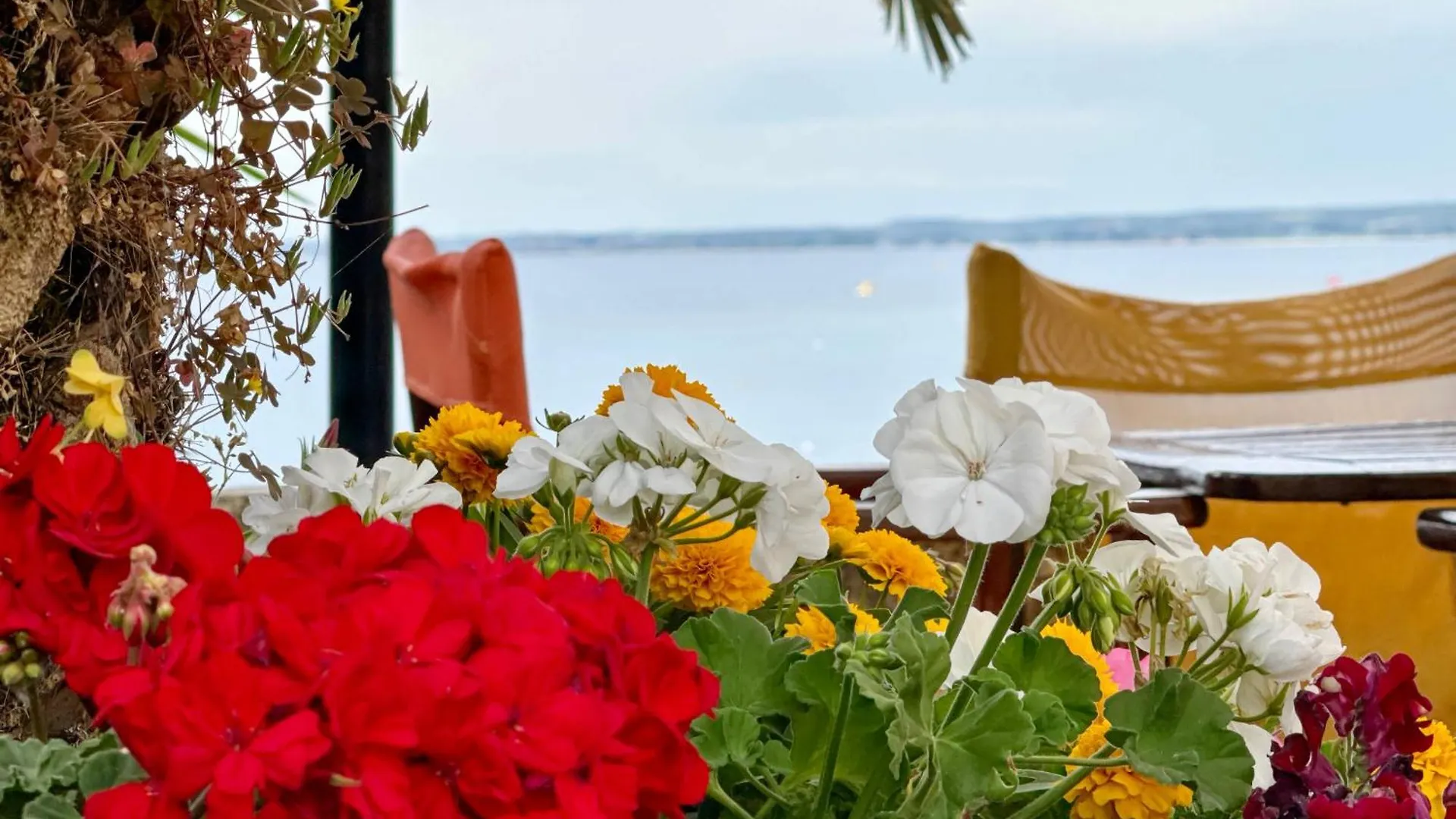 Maistrali Beach Studios Gerakini Apart Otel