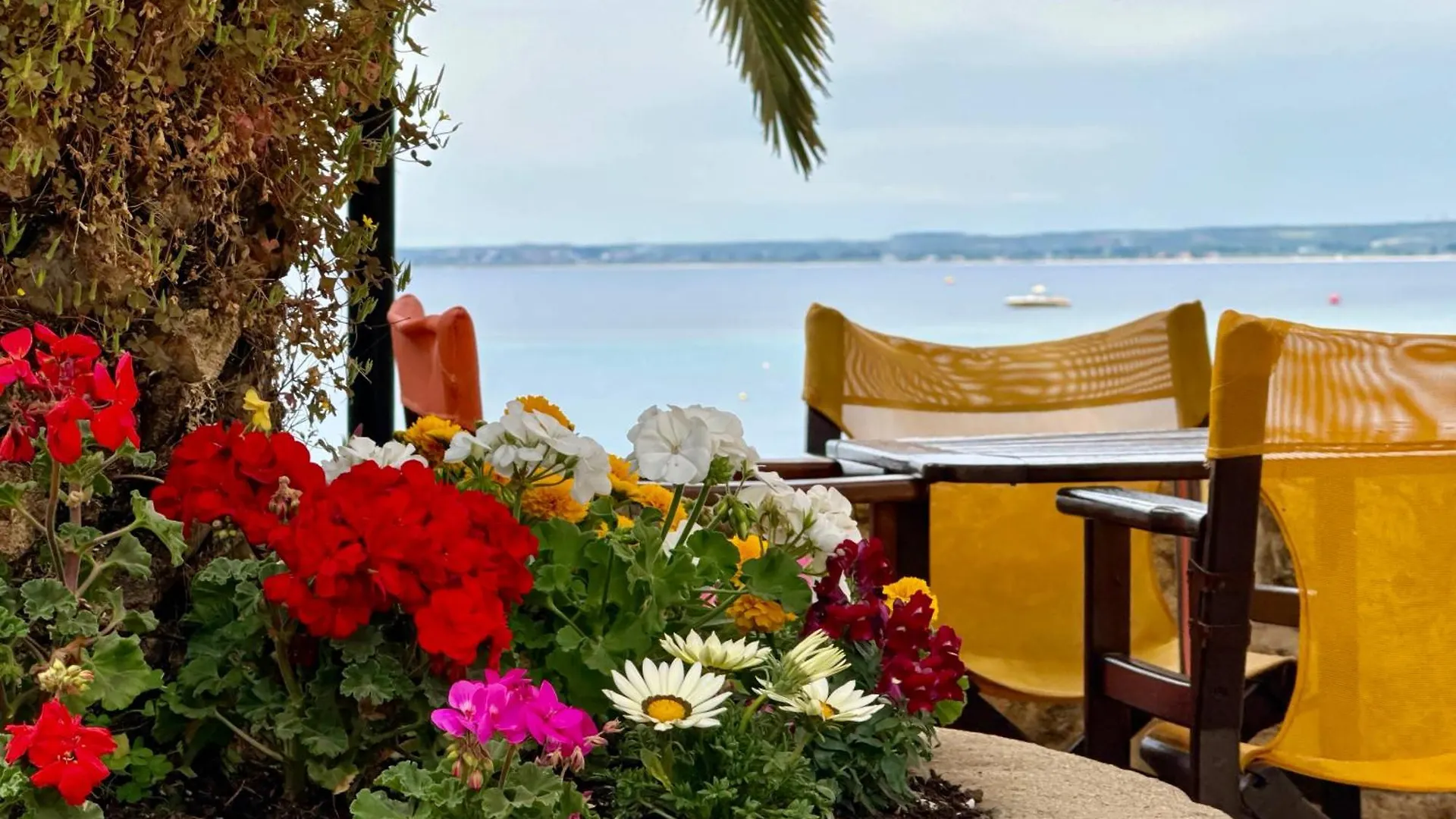Maistrali Beach Studios Gerakini Aparthotel